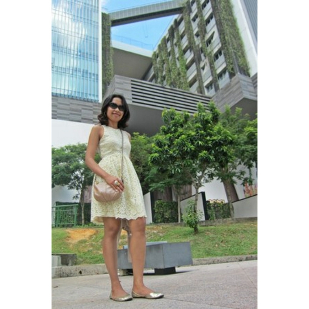 ZARA Guipure Lace Fit & Flare Spring Dress Medium - Picture 3 of 8